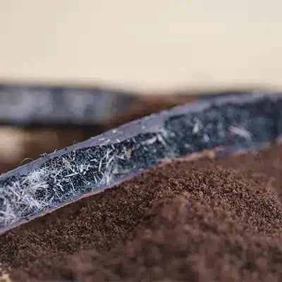 Nahaufnahme Vanille, Bourbon Vanille aus Madagaskar, zum Verfeinern von Speisen und Getränken Ritualmanufaktur Glut & Korn